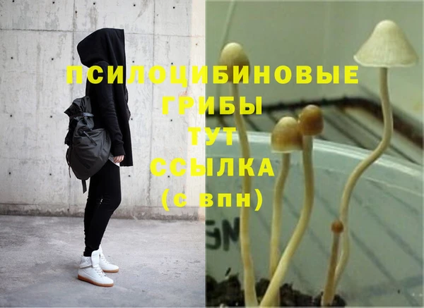 кокаин колумбия Алзамай