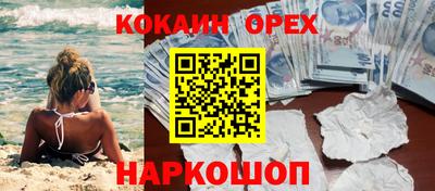 a pvp Славгород