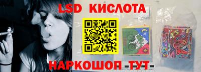 a pvp Славгород