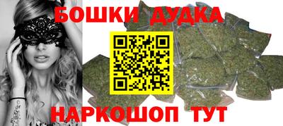 a pvp Славгород