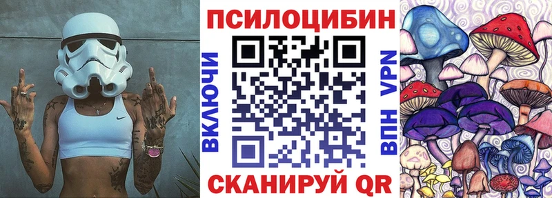 Псилоцибиновые грибы GOLDEN TEACHER цена наркотик Чистополь
