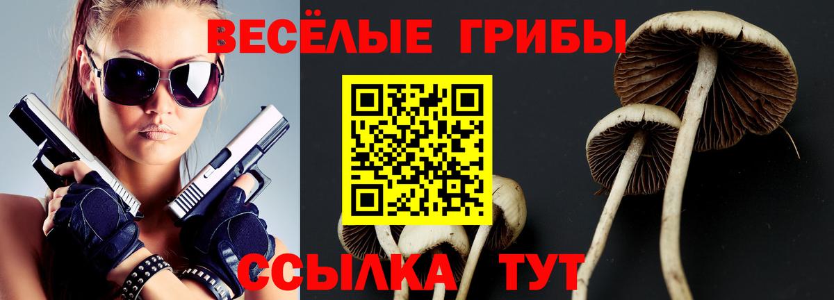 Галлюциногенные грибы Cubensis Чистополь